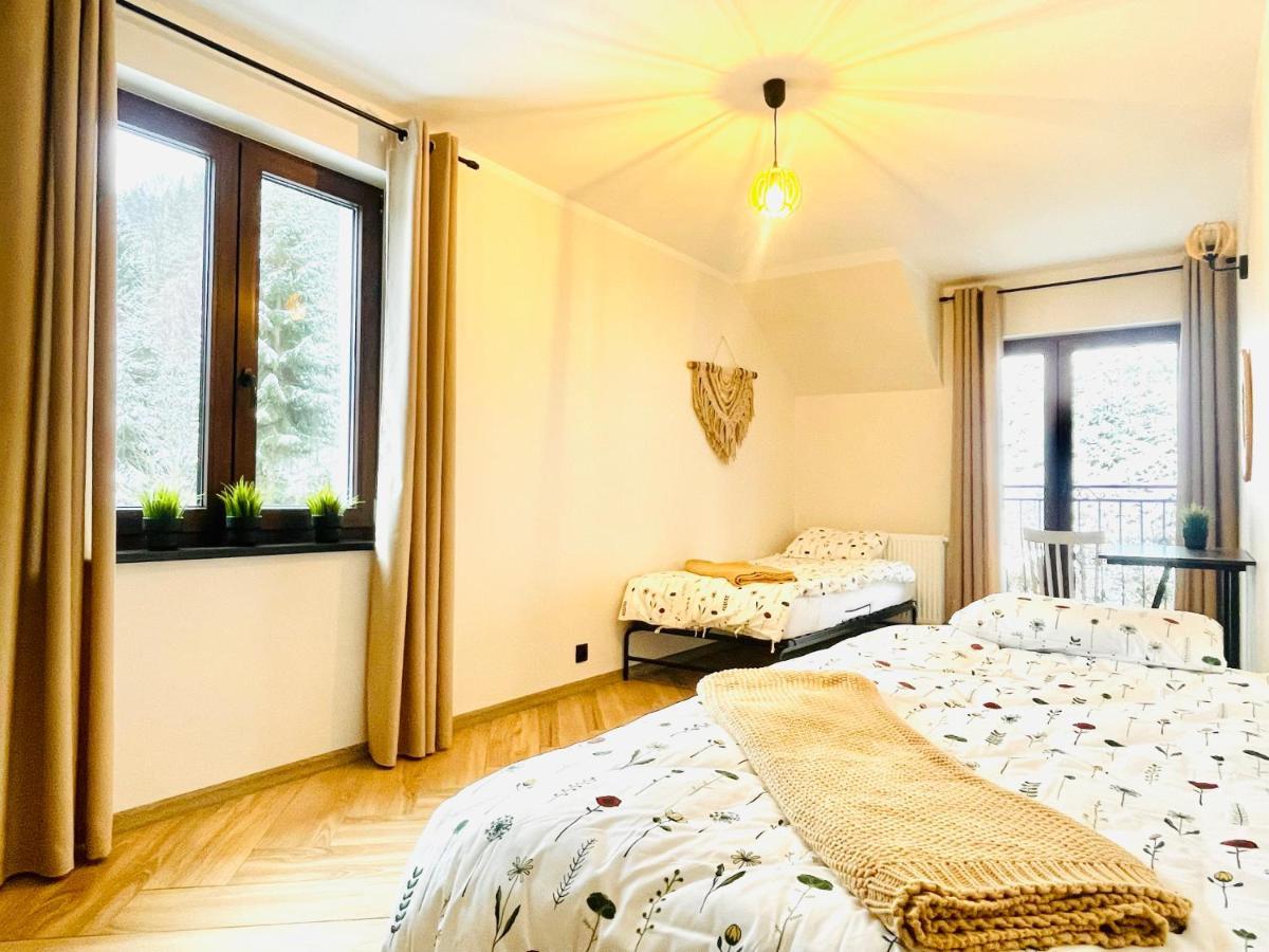 Gorska Cisza - Duzy, Komfortowy, Wyjatkowy Apartament Stronie Śląskie Exterior foto